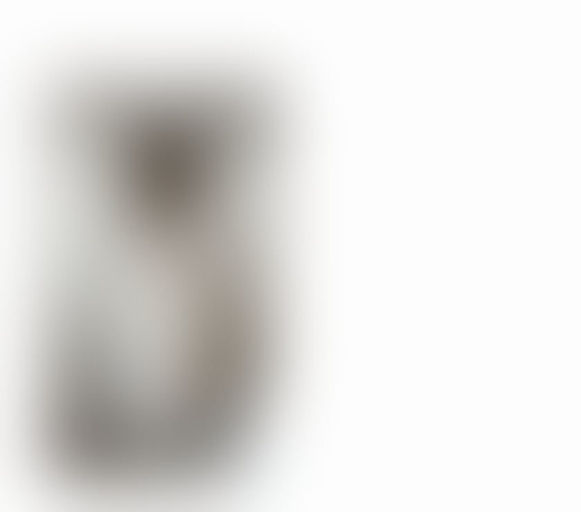 Thumbnail of NEW Exotic Indian Harrow - Photo 6
