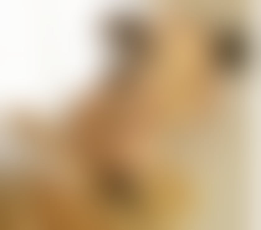 Thumbnail of MAYFAIR Blonde XL BOOBS Girl 💖 Your Wildest Night Out - Photo 9