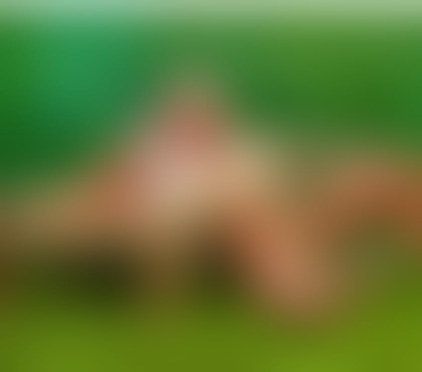 Thumbnail of 🇧🇷 SEXY GIRL🍾🔥NO RUSH GFE ❤️MASSAGE - Photo 4