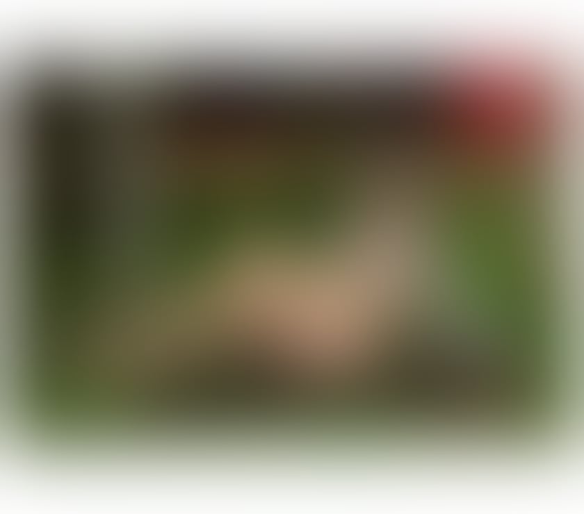 Thumbnail of ❤️🌹🌺 GABI BLOND FROM 40£ 🌺🌹❤️ - Photo 7
