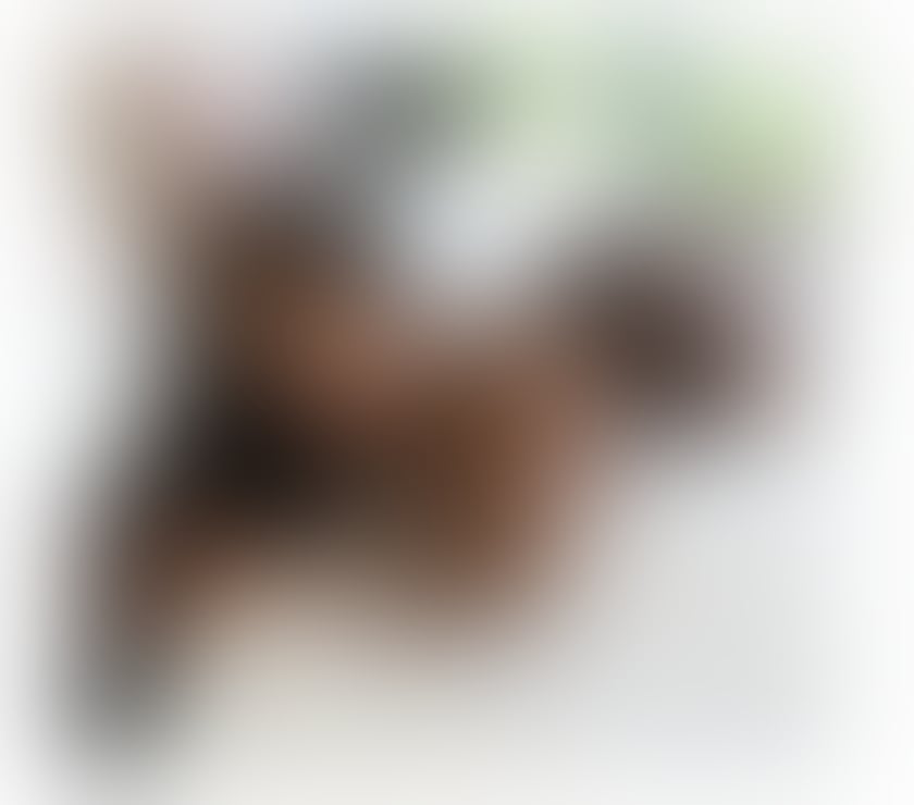 Thumbnail of 🔥HOT & WET 🤤 ALWAYS READY 😈🔞 - Photo 4