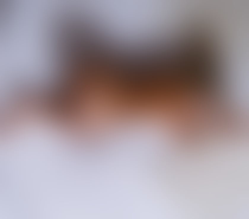 Thumbnail of 💎ANGEL VIVARA💎BRAZILIAN BIG🍑VERY HOT🔥 - Photo 8