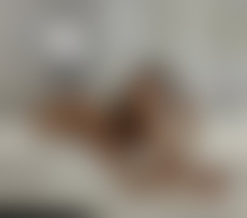 Thumbnail of Olivia new in Bristol gfe no rush services - Photo 3